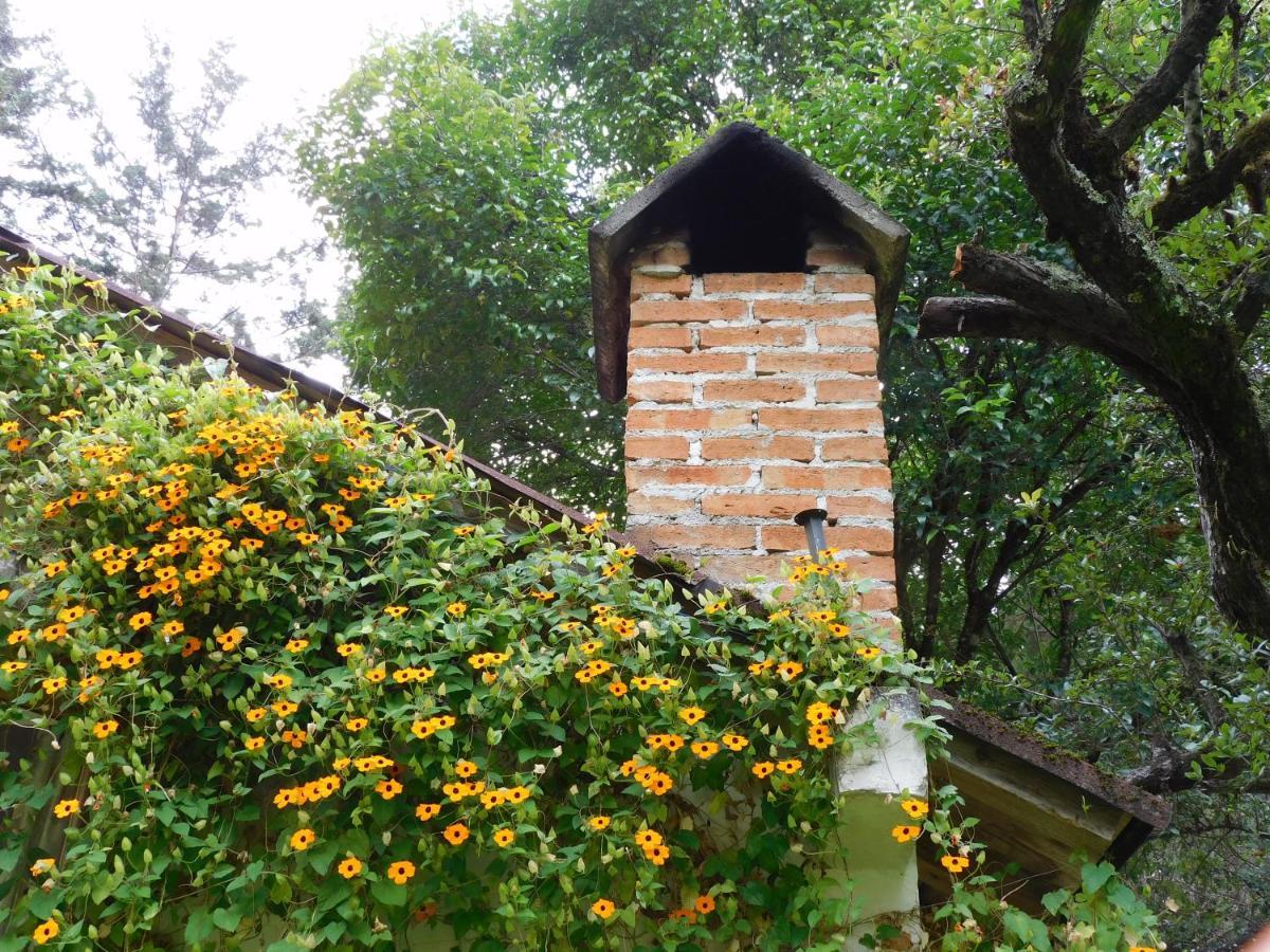 San Nicolas By Rotamundos San Cristóbal de Las Casas Dış mekan fotoğraf