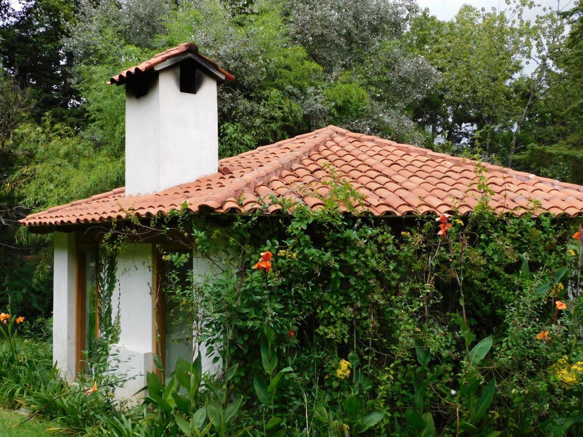 San Nicolas By Rotamundos San Cristóbal de Las Casas Dış mekan fotoğraf